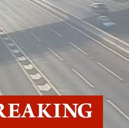 Trafic M20 le plus récent: voie M20 FERMÉE après un accident d'horreur – les services d'urgence se précipitent sur les lieux