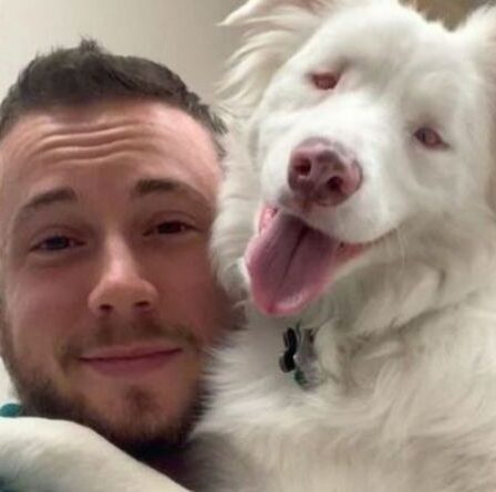 Un chien aveugle et sourd réveillé par son propriétaire devient une vidéo virale réconfortante