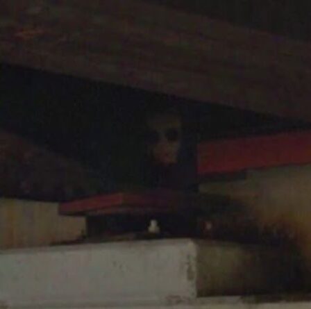 Un "clown meurtrier" repéré sous un pont sur Google Earth laisse les utilisateurs pétrifiés