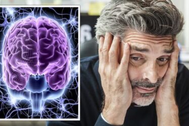 Un expert 'Le stress rétrécit votre cerveau' avertit - d'autres manières surprenantes d'impacter le stress sur le corps