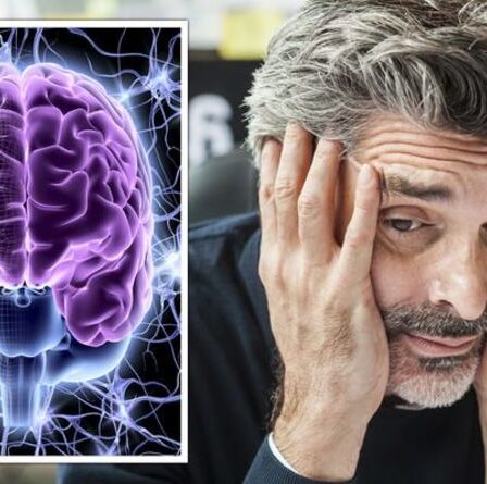 Un expert 'Le stress rétrécit votre cerveau' avertit - d'autres manières surprenantes d'impacter le stress sur le corps