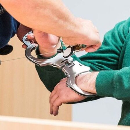 Un meurtrier condamné utilise la prison pour maîtriser un ancien problème de mathématiques