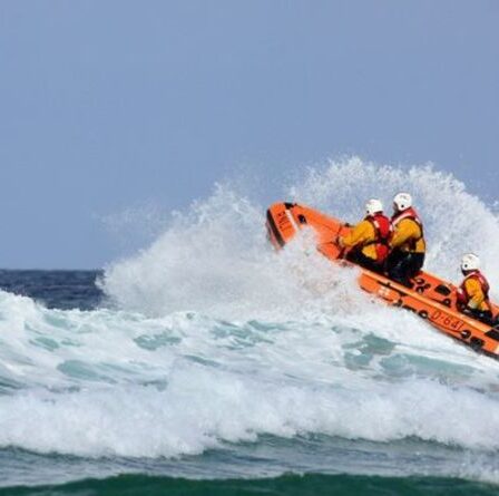 Un nageur irlandais « miracle » survit 12 heures dans une mer glaciale après avoir été « aidé par des dauphins »
