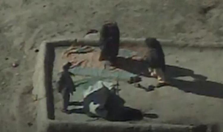 Un pilote de drone américain divulgue des images de meurtres en Afghanistan et révèle un enfant tué par une frappe capricieuse
