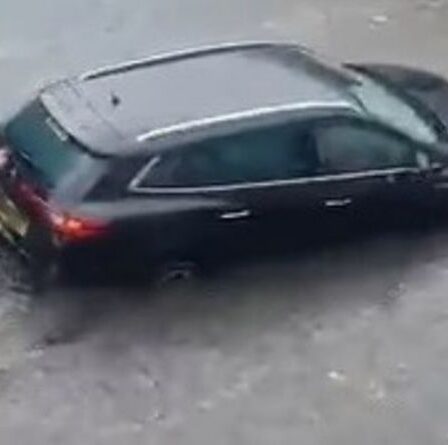 Une Écossaise et son chien filmés travaillant ensemble pour sortir une voiture des eaux de crue