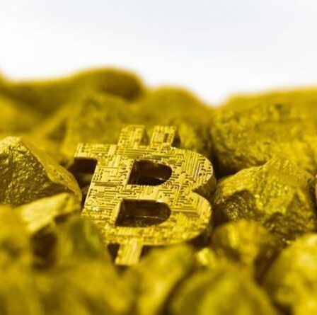 Une famille qui a parié sur Bitcoin il y a quatre ans stocke maintenant la fortune crypto dans des coffres secrets