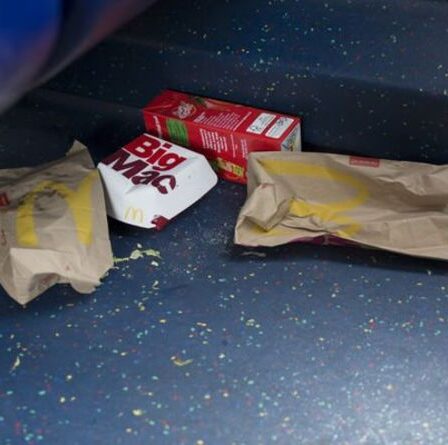 Une femme furieuse demande le remboursement de McDonald's après avoir laissé tomber de la nourriture après son départ