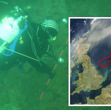 Une percée archéologique alors que «l'Atlantide perdue» est reconstituée après la découverte de 200 objets