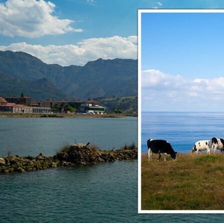 Une ville espagnole dit aux gens de partir s'ils «ne peuvent pas gérer» la vie rurale à la suite d'une plainte