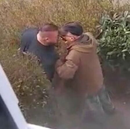 Une violente bagarre éclate entre voisins à propos des mauvaises herbes du jardin