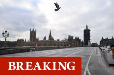 Urgence du pont de Westminster: « incident grave » alors que la police et les pompiers se précipitent sur les lieux