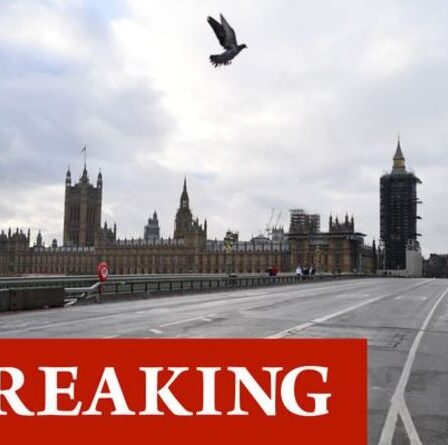 Urgence du pont de Westminster: « incident grave » alors que la police et les pompiers se précipitent sur les lieux