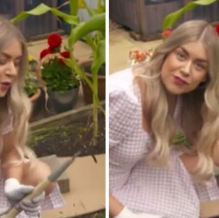 « Utilisez la méthode sans fouille ! »  Daisy Payne partage une astuce naturelle pour « bannir les mauvaises herbes pour de bon »