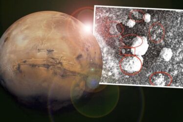 Vie sur Mars : des « vers » et des « crevettes » repérés dans l'étrange étude d'un scientifique sur la planète rouge
