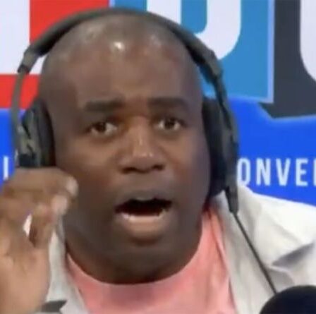 « Vous êtes obsédé ! »  Lammy critiqué pour avoir évoqué le Brexit lors d'une violente dispute en Afghanistan