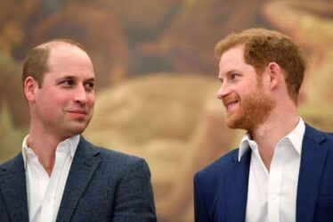 William et Harry s'unissent pour ne pas laisser «l'histoire se répéter» avec les enfants royaux