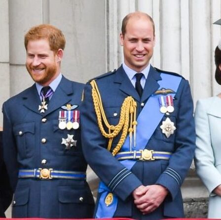 William et Kate trouvent le drame de Harry et Meghan « trop douloureux » pour en discuter – concentrez-vous sur la « paix »