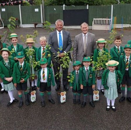 Des enfants de tout le Royaume-Uni ont leur mot à dire sur le changement climatique dans le Parlement des enfants en ligne