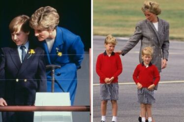 Le prince William est tombé dans les escaliers après la farce de la princesse Diana