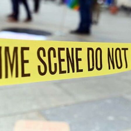 Pourquoi sommes-nous si obsédés par le meurtre ?