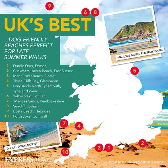 Les meilleures plages du Royaume-Uni acceptant les chiens