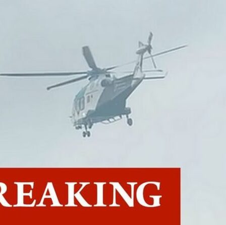 Horreur alors qu'un chien frappe un jeune garçon au visage – un enfant transporté par avion à l'hôpital avec des blessures graves