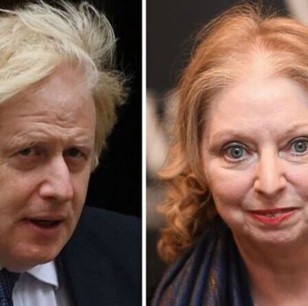 Hilary Mantel s'en prend au Brexit en Grande-Bretagne alors qu'elle révèle son intention de redevenir "européenne"