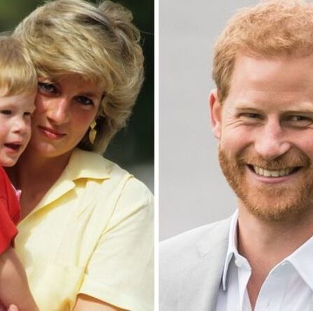 Prince Harry : « Signe précoce », il ferait les choses « à sa façon » à la crèche