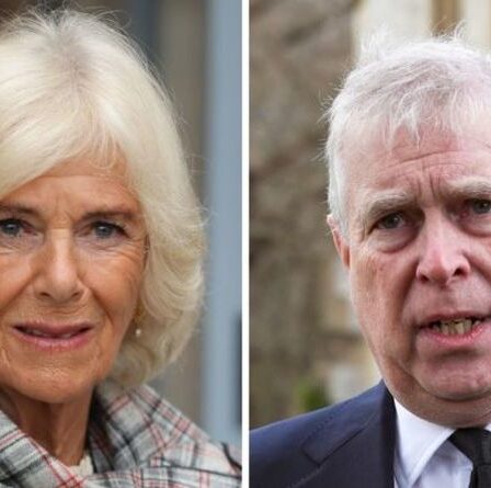La relation tendue de Camilla et du prince Andrew s'est dénouée: "Je n'ai pas oublié"