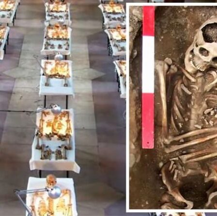 L'Empire romain au Royaume-Uni « réécrit » après la découverte de dizaines de corps de « gladiateurs » dans une fosse commune