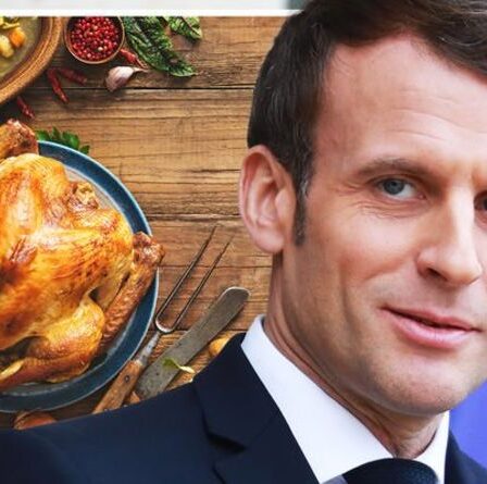 S'il te plait Emmanuel !  Les Britanniques pourraient devoir acheter des dindes de Noël FRANÇAISES en raison de la pénurie au Royaume-Uni