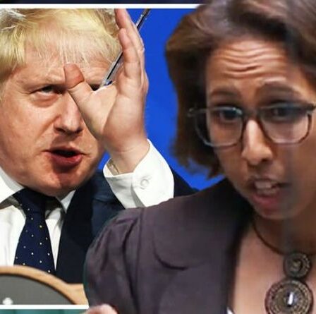 « Trahison de la nation ! »  Les Lib Dems furieux promettent de snober Boris lors d'un vote majeur aux Communes CE SOIR