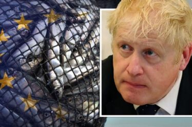 L'indignation de la pêche au Brexit alors que l'état d'urgence a été déclaré en Manche contre les superchalutiers de l'UE