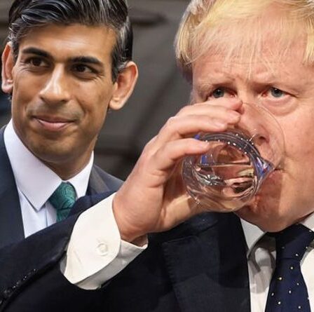 Assurance nationale: Boris Johnson a averti qu'une hausse des impôts "pourrait étouffer la récupération des coronavirus"