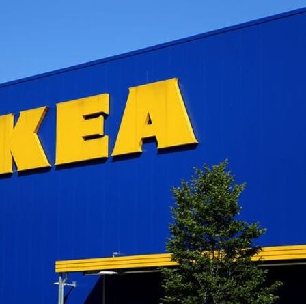 La colère du Brexit alors qu'IKEA accuse la sortie de l'UE des problèmes d'approvisionnement au Royaume-Uni mais pas aux Pays-Bas