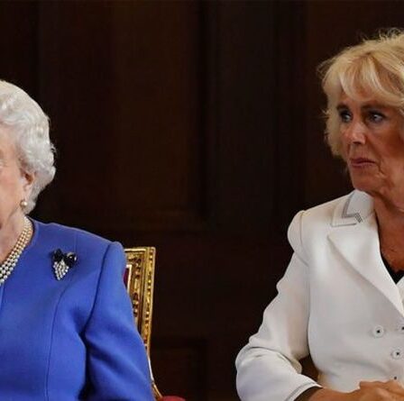 Le snob brutal de Camilla de Queen: "Je ne l'appellerais pas par son nom!"  - expert revendiqué