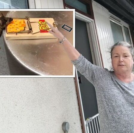 'RÉPUGNANT!'  La peste des rats s'abat sur le domaine de Londres - posant un risque grave pour la santé