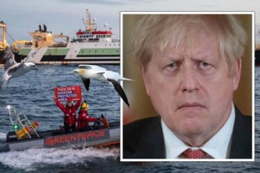 Fureur des supertrawlers de l'UE: Boris exhorté à interdire les navires-usines – les pêcheurs avertissent "nous ne pouvons pas rivaliser"
