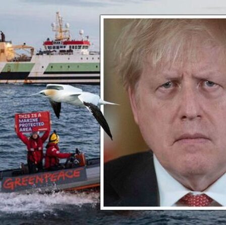 Fureur des supertrawlers de l'UE: Boris exhorté à interdire les navires-usines – les pêcheurs avertissent "nous ne pouvons pas rivaliser"