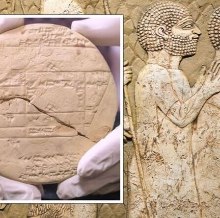 La découverte d'une ancienne tablette babylonienne réécrit la revendication de Pythagore sur le célèbre théorème