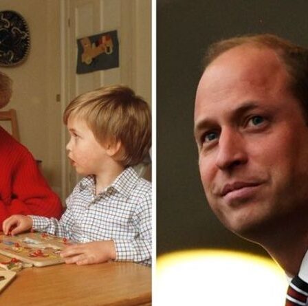 Le cœur brisé du prince William alors que Diana « verrait qu'il a beaucoup de Spencer »