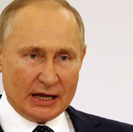 Poutine sème la panique en Allemagne face aux craintes de chantage au gaz naturel : « Les maisons resteront froides !