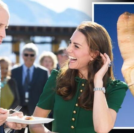 Le moment gênant de Kate et William après avoir reçu une «palourde phallique»