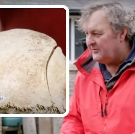 Archéologie : une découverte effrayante indique le cannibalisme en Grande-Bretagne