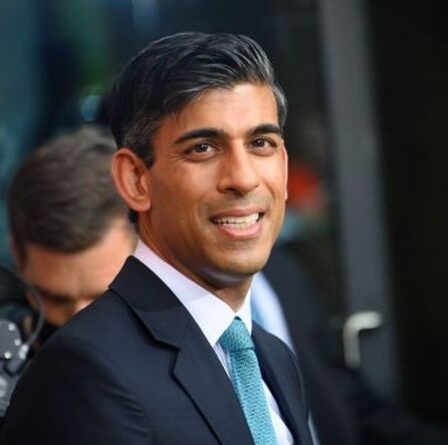 Rishi déclare : l'économie britannique « rugit »