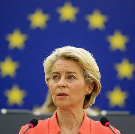 Ursula von der Leyen sur le point de militariser les groupements tactiques de l'UE du bloc: "pourrait le voir bientôt"