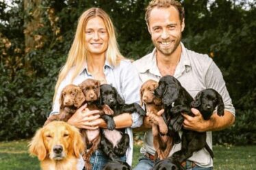 James Middleton sur l'impact extraordinaire de ses chiens "Elle m'a sauvé la vie"