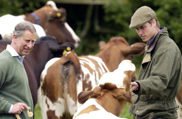 Prince Charles Estate Duché de Cornouailles nouveau plan 2500 maisons Faversham Kent