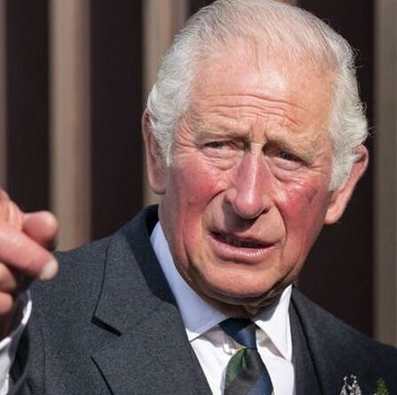 Le domaine du prince Charles dévoilera un plan de 2500 maisons pour le site du Kent – ​​« Commence à partir de zéro »