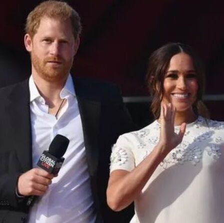 Meghan Markle et le prince Harry critiquent les «entreprises pharmaceutiques ultra-riches» dans un discours puissant